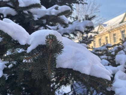 «День чудесный»: солнечно и морозно будет в ЕАО 13 января