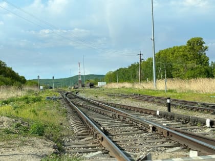 Пасмурно и без осадков будет в начале рабочей недели – прогноз погоды в ЕАО на 3 июня