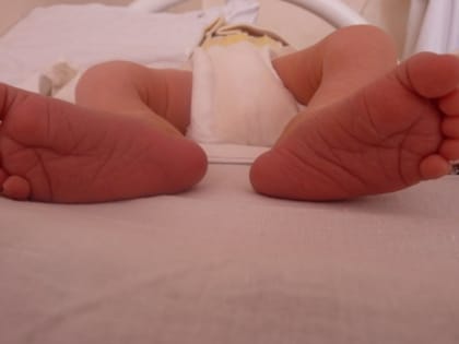 Родила — подтверди: маткапитал не будут выдавать на мертвые души