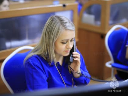 Вероятность ранних природных пожаров. Каким будет март 2024 года рассказали специалисты МЧС России по Еврейской автономной области