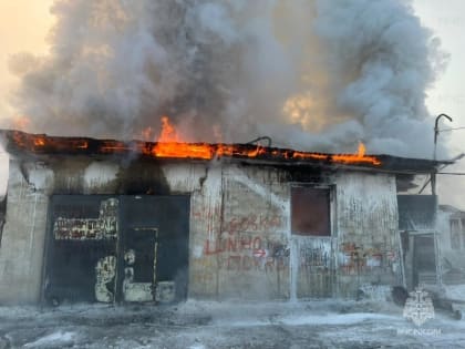 Дом, гараж, мастерская и автомобиль сгорели в жутком пожаре в г. Облучье в ЕАО
