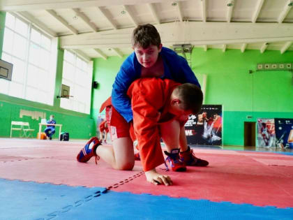 Самбисты сошлись в схватках за право быть первыми на спортивном фестивале в Биробиджане