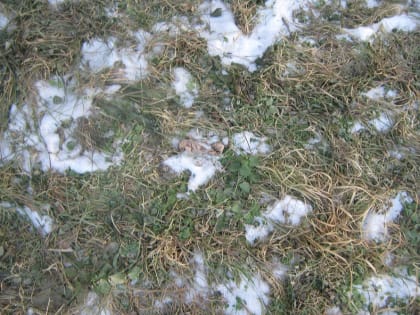 Прогноз погоды на сентябрь 2024 года в Еврейской автономной области