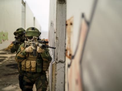 Из-за атаки диверсантов в Белгородской области пострадали 500 домов