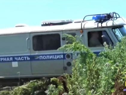 Завели 16 уголовных дел, пресекли наркотрафик: итоги II этапа операции "Мак" в ЕАО