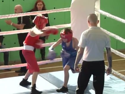 В Биробиджане прошел турнир по боксу, посвященный памяти Героя России Андрея Ковтуна