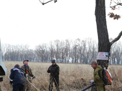 Энергетиков ЕАО поблагодарили за помощь в сохранении популяции дальневосточного аиста 