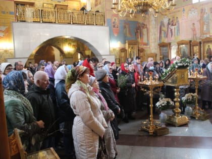 Праздник Входа Господня в Иерусалим (Вербное воскресенье) в Благовещенском соборе Биробиджана