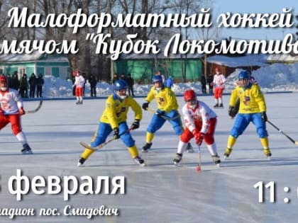 «Кубок Локомотива» по малоформатному хоккею с мячом в п. Смидович ЕАО посвятят почетному жителю Виктору Дубинину