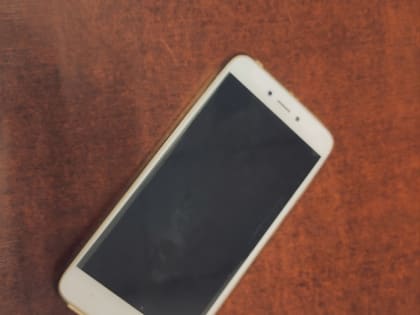 В Госдуму внесен законопроект об ограничении использования телефонов в школах