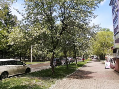 Без осадков пройдёт день во всех районах автономии – прогноз погоды в ЕАО на 31 мая