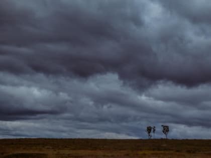 Когда ливни вновь обрушатся на Приморье - синоптики назвали даты