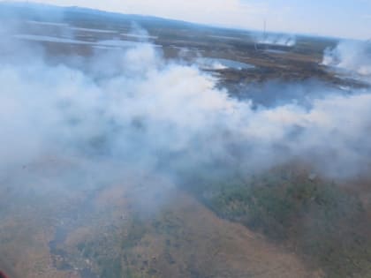 Прокуратура взяла на контроль ситуацию с лесными пожарами в Магаданской области