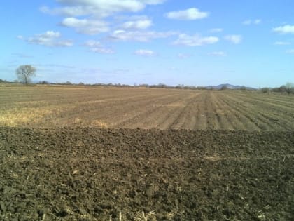 «Дырку от бублика» показали власти ЕАО аграриям региона — СМИ