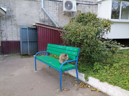 Прогноз погоды в ЕАО на сегодня