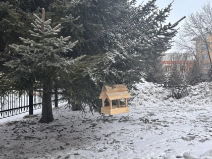 Облачная погода ожидает районы автономии – прогноз погоды в ЕАО на 3 марта