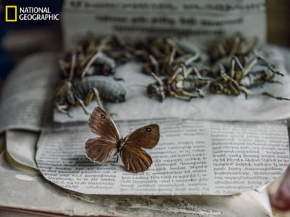 Впечатляет и восхищает: выбраны лучшие фотографии путешественников по миру за 2022 год