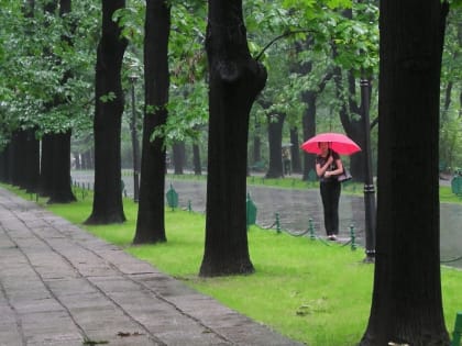 Черёмуховые холода и дождь: погода новой недели в ЕАО