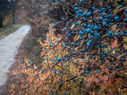 Прогнозы возможных чрезвычайных ситуаций