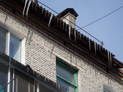 Мэр Биробиджана обозначил зоны ответственности при уборке наледи с крыш домов областного центра