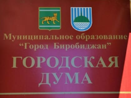 Депутатов Биробиджана поймали на бездумном голосовании (ВИДЕО)