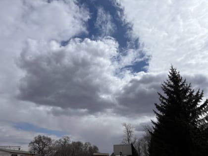 Пасмурно и без осадков будет в автономии – прогноз погоды в ЕАО на 5 апреля