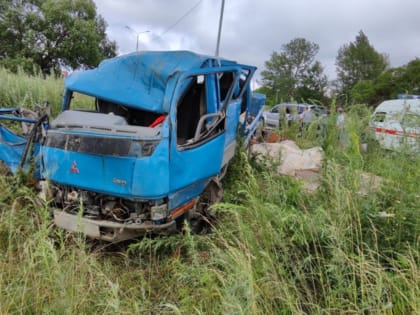 Два неловких водителя в ЕАО съехал в кювет и получили травмы
