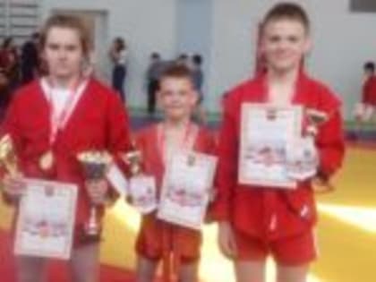 «Золото» и «серебро» завоевали самбисты из ЕАО на турнире в Тынде