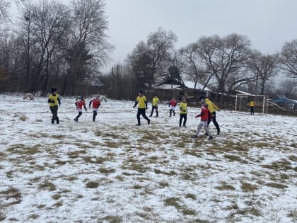 Кубок главы Валдгеймского сельского поселения разыграли в ЕАО