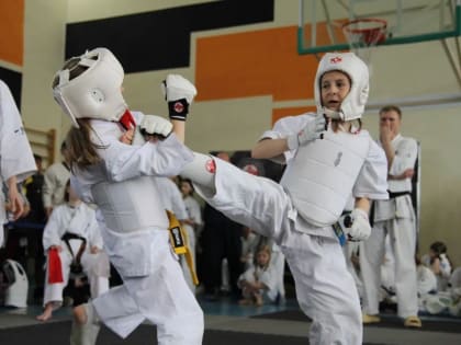 Крупные дальневосточные соревнования по киокусинкай карате прошли в посёлке Николаевка ЕАО