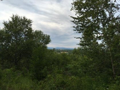 Переменная облачность придёт в районы области – прогноз погоды в ЕАО на 20 мая