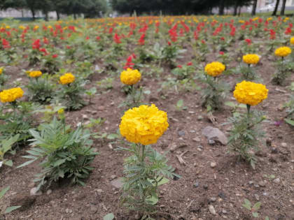 Облачно и с осадками пройдёт начало рабочей недели области — прогноз погоды в ЕАО на 17 июня
