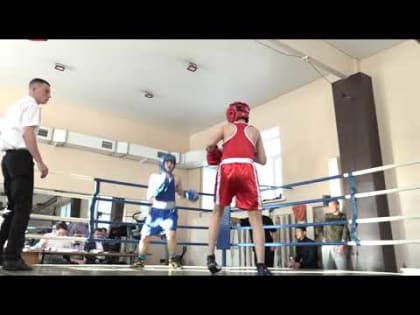70 спортсменов из ЕАО, Хабаровска и Благовещенска приняли участие в первенстве области по боксу