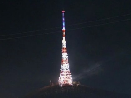 Биробиджанская телебашня включит подсветку 29 июля  к Международному дню тигра