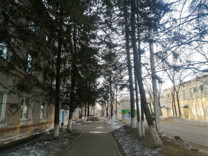 Переменная облачность ожидает районы автономии – прогноз погоды в ЕАО на 16 марта