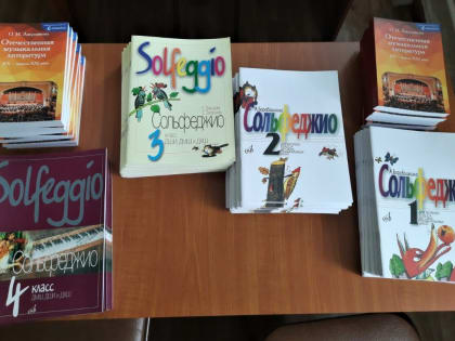 Новые инструменты поступают в Детскую школу искусств пос. Смидович ЕАО 