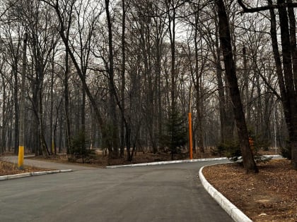 Дожди пройдут в районах автономии – прогноз погоды в ЕАО на 18 апреля