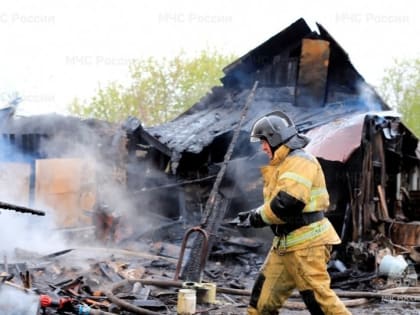 Три газовых баллона вынесли огнеборцы из полыхающих построек в Биробиджанском районе