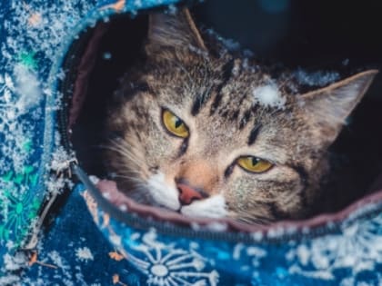 Право на продление отпуска: что нужно знать работникам
