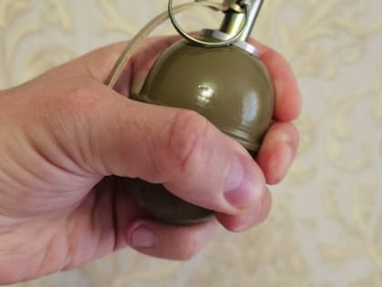 Штраф за ложное сообщение о взрыве гранаты в баре получил житель Биробиджана