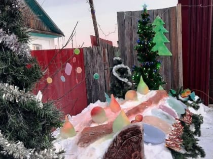 В Биробиджане стартовал ежегодный конкурс «Елка нашего двора» (0+)