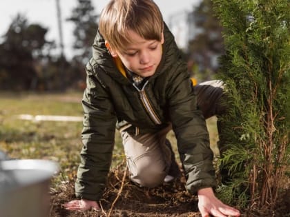 Чему будут учить на уроках труда,  рассказали в Минпросвещения