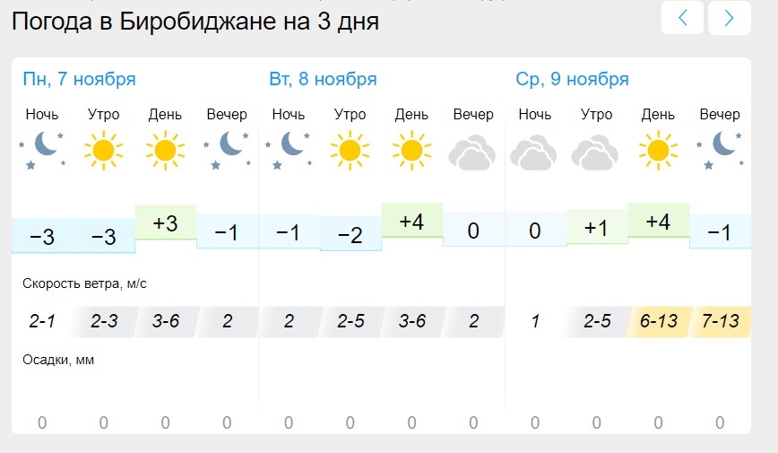 Погода амурзет еао на 10 дней. Погода в Биробиджане на 10 дней.