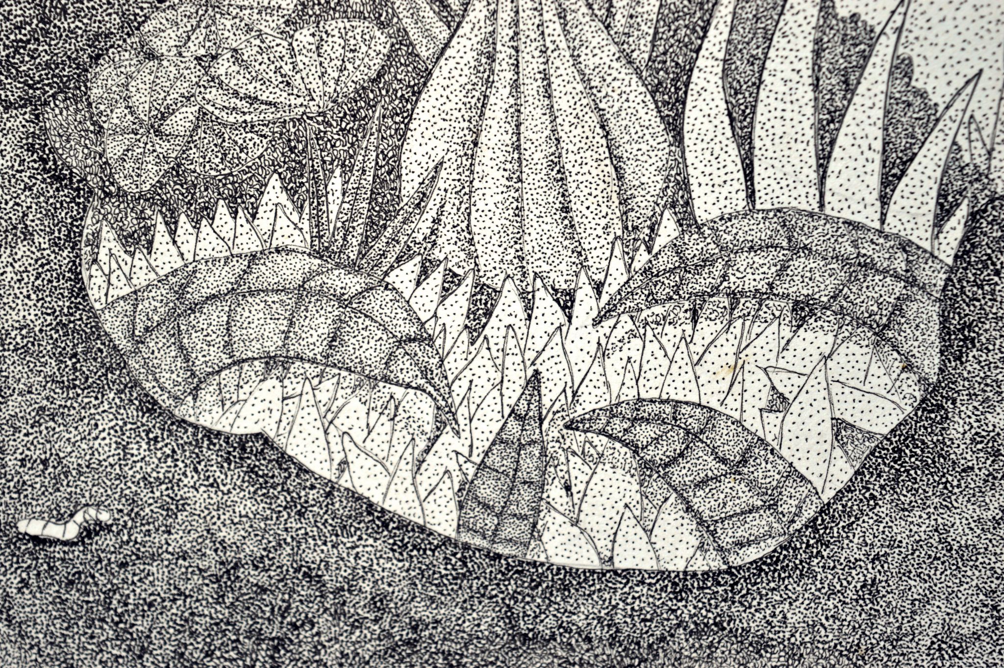 dibujo