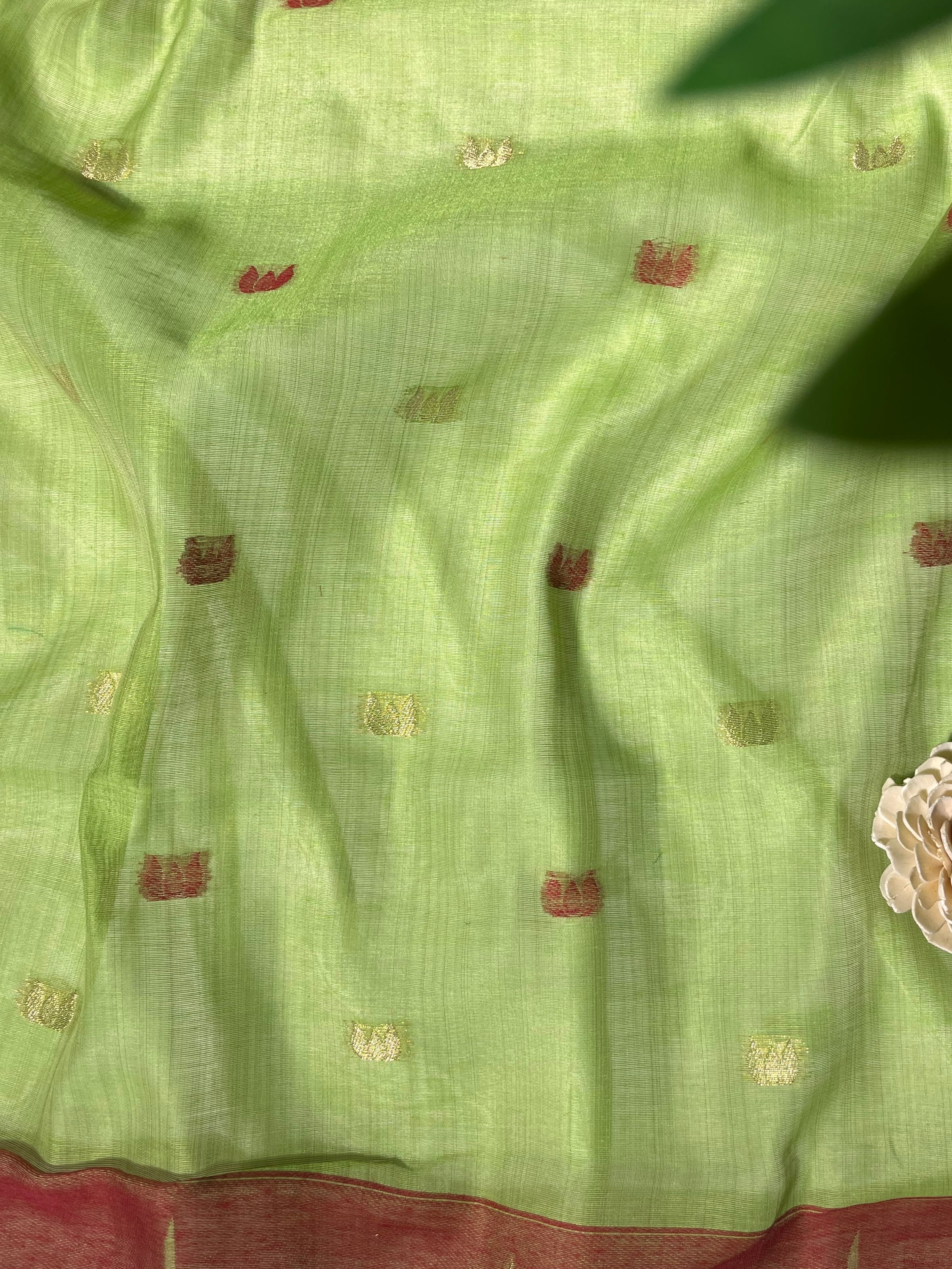 Forest Harmony Jamdani Cotton Saree