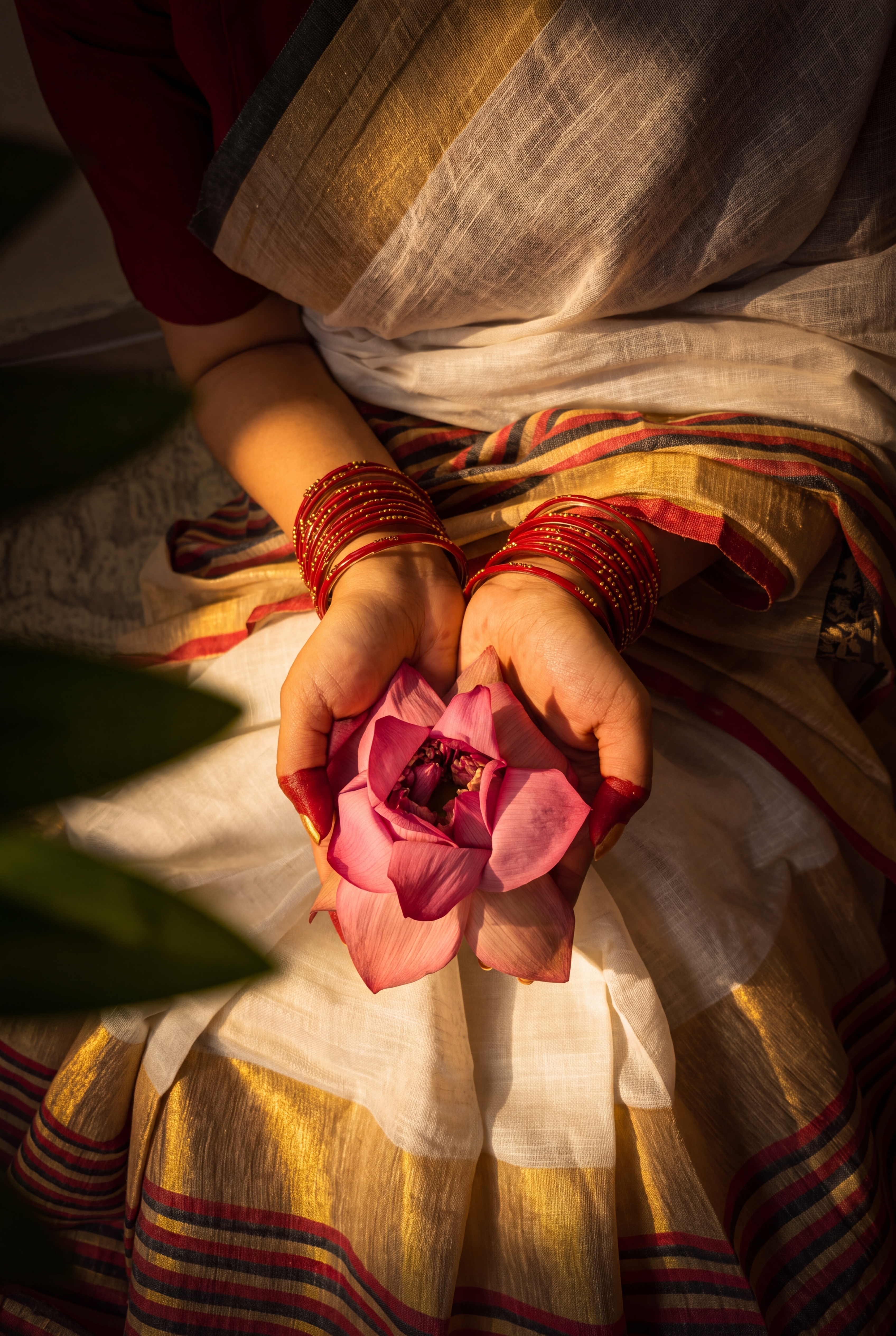 Suvarna Rekha Bhagalpur Cotton Linen Saree - view 1
