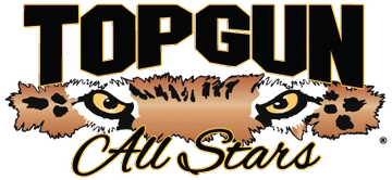 Top Gun All Stars