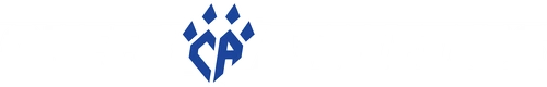 Cheer Athletics