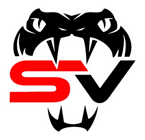 Stars Vipers