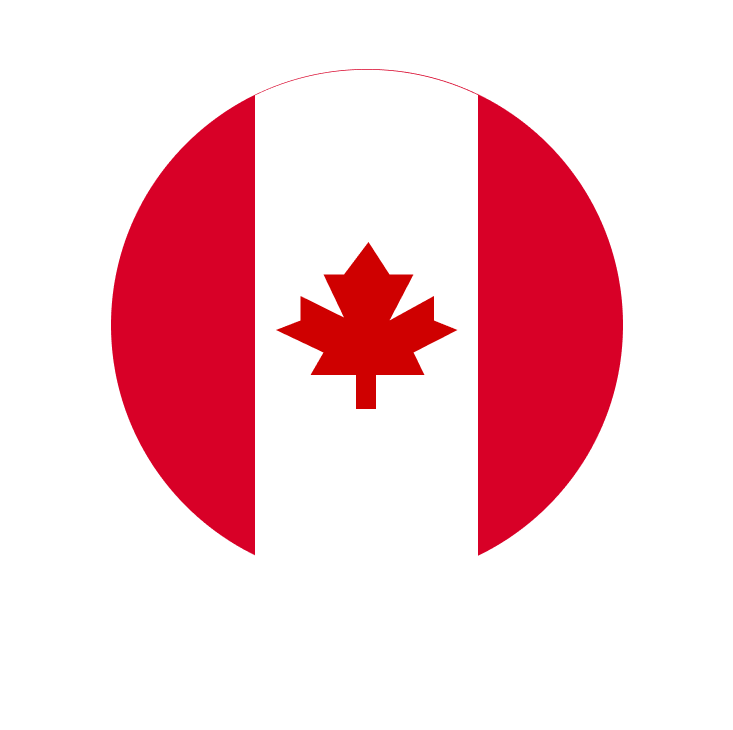 CAD flag